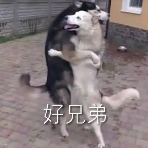 1764252745419245.png image.png